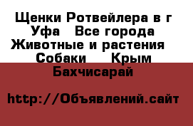 Щенки Ротвейлера в г.Уфа - Все города Животные и растения » Собаки   . Крым,Бахчисарай